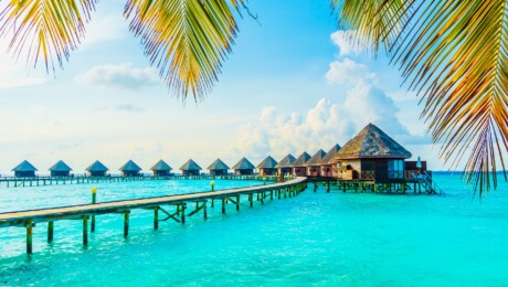 maldive
